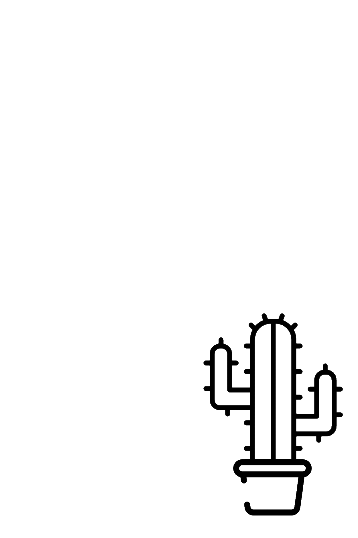 Plan Basics Empresas